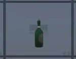 Bottle